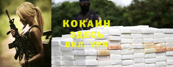 спиды Медногорск
