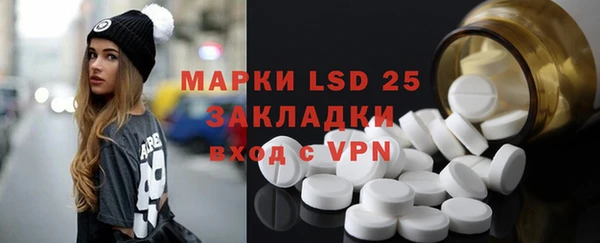 ГАЛЛЮЦИНОГЕННЫЕ ГРИБЫ Медвежьегорск