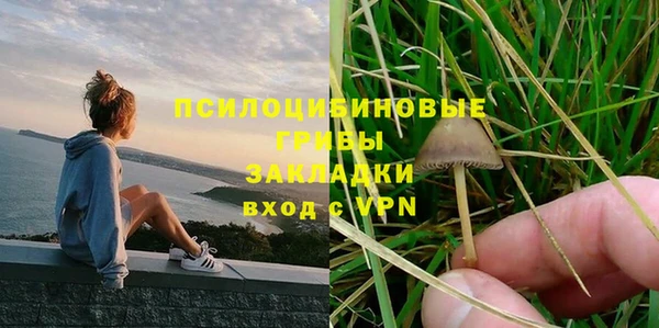 бошки Михайлов