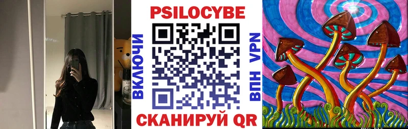 закладка  Нерехта  Галлюциногенные грибы прущие грибы 